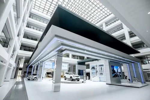 杭州湾新区 技术开发热潮下的年轻人才汇聚地